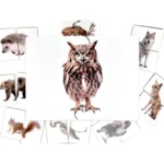 Пазли половинки тварини України три Ступені - Зображення 3